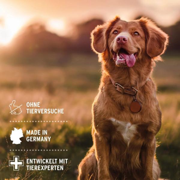 Aniforte Neemöl Shampoo für Hunde 500ml