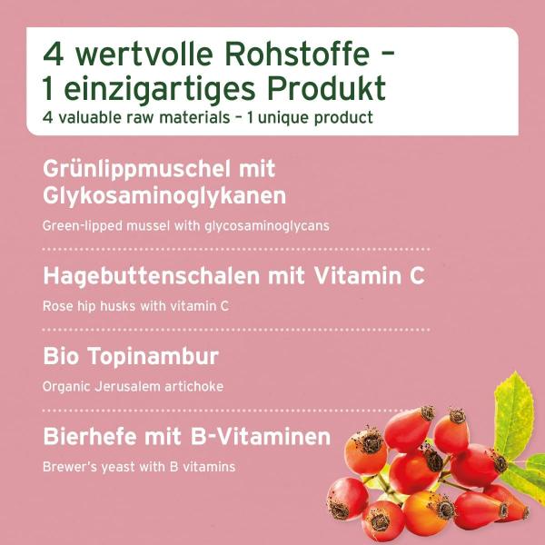 Natürliche Zusammensetzung mit Bierhefe, Hagebuttenschalen, Bio-Topinambur und Grünlippmuschel