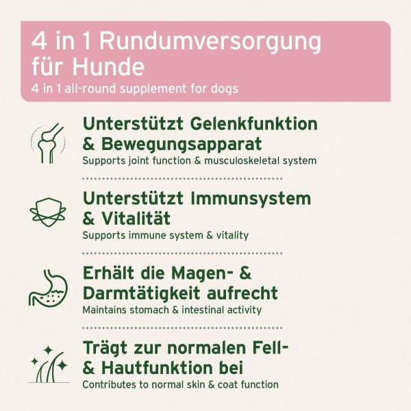 Aniforte 4in1 Complete Dog 250g   - Immunsystem, Fellkraft, Magen & Darm