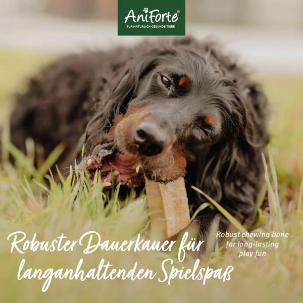 Aniforte Käse Kauknochen Mini 28-40g - Der leckere lange Kauspaß für Hunde