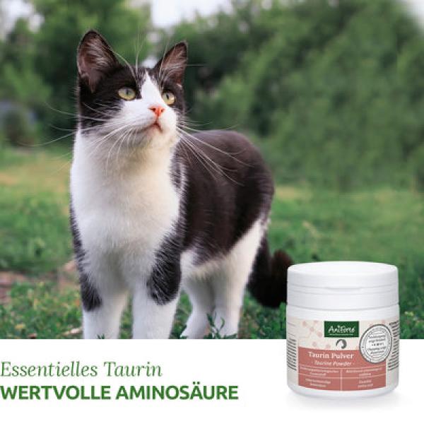Aniforte Taurin Pulver für Katzen