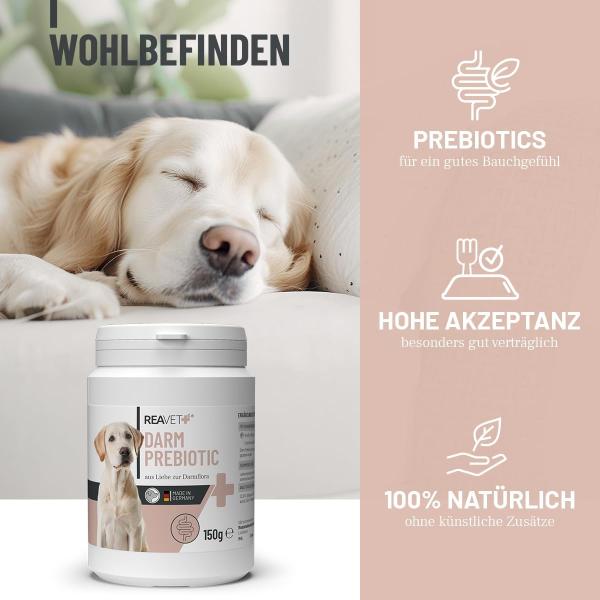 REAVET Darm Prebiotic – Unterstützt die natürliche Darmflora von Hunden
