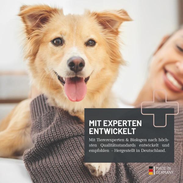 REAVET Darm Prebiotic – Unterstützt die natürliche Darmflora von Hunden