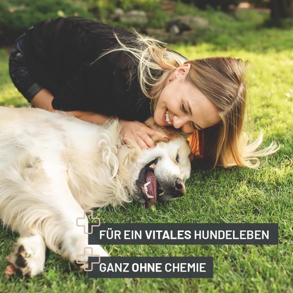 REAVET Darm Prebiotic – Unterstützt die natürliche Darmflora von Hunden