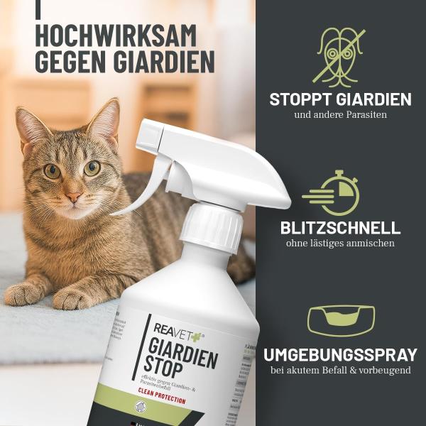 ReaVET Giardien Stop Spray 500 ml – Hygienische Sauberkeit für die Tierumgebung
