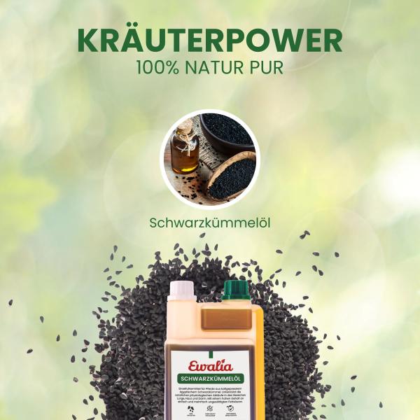 Alt-Text: „Produktetikett des EWALIA Schwarzkümmelöls mit 100 Prozent naturreiner Zusammensetzung aus Nigella Sativa“