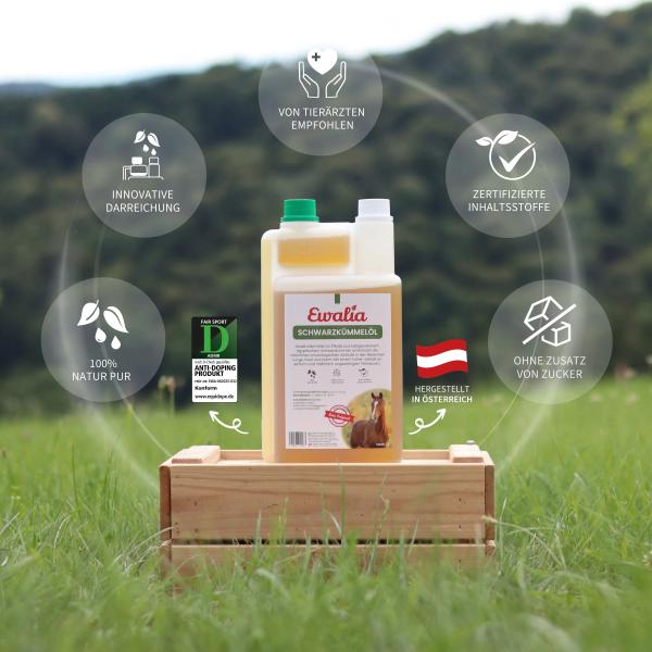lt-Text: „Hautunterstützung beim Pferd durch kaltgepresstes EWALIA Schwarzkümmelöl bei Sommerekzem und Juckreiz