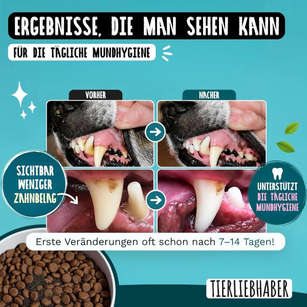 4-in-1 Wirkmechanismus mit Probiotika, Kräutern und sanftem Abrieb für Hundezähne