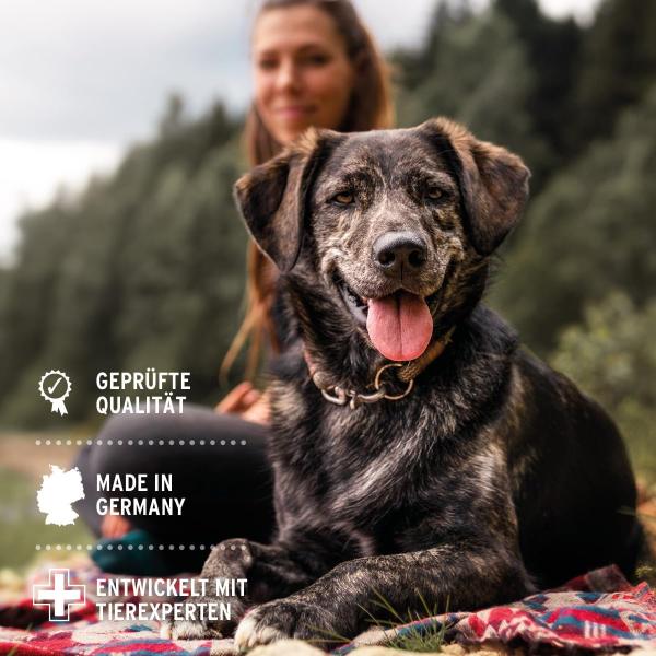AniForte® Wurm Kraut W-Liquid – Natürliche Darmabwehr für Hunde & Katzen Kleintiere