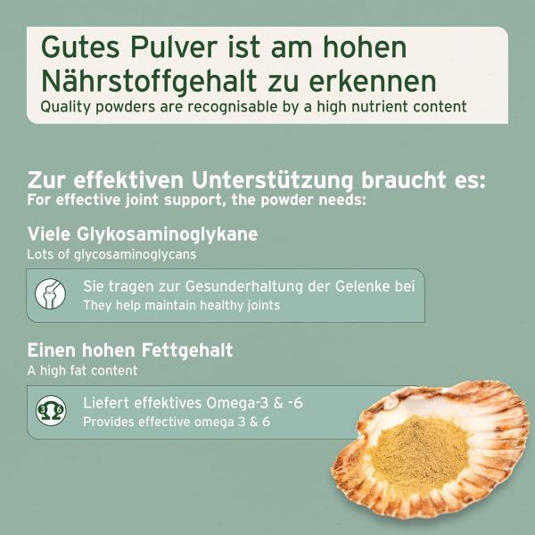 AniForte Grünlippmuschel Pulver – natürliche Gelenkpflege für Hunde  Pferde & Katzen