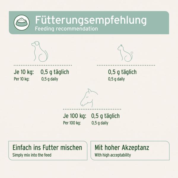 AniForte Grünlippmuschel Pulver – natürliche Gelenkpflege für Hunde  Pferde & Katzen