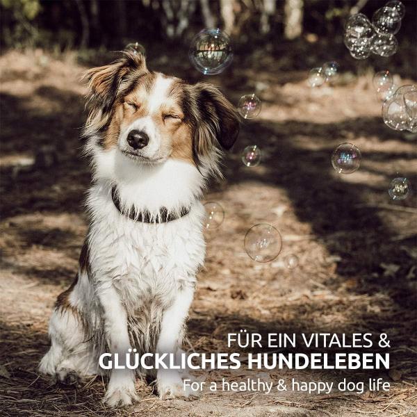 Aniforte BARF-Line Premium Futteröl für Hunde - Essentielle Fettsäuren