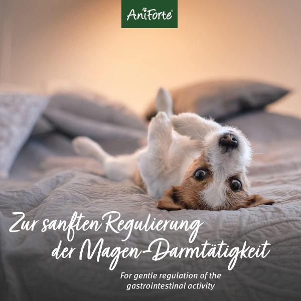 Aniforte MagenSanft®  500g für Hunde - gesunde Verdauung & Magen-Darmtätigkeit