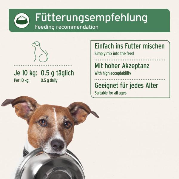 AniForte Seealgenmehl für Hunde 250g