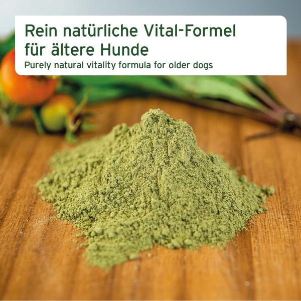 Aniforte Senior Active Unterstützung der Gelenke & des Immunsystems 250g