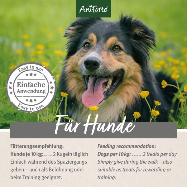 Aniforte Z-Season Snack 350g für Hunde in jedem Alter