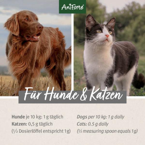 Aniforte Bierhefe Pulver für Hunde und Katzen