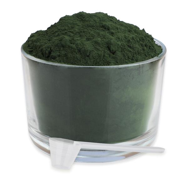 Reavet Bio Spirulina Pulver 250g für Hunde und Katzen