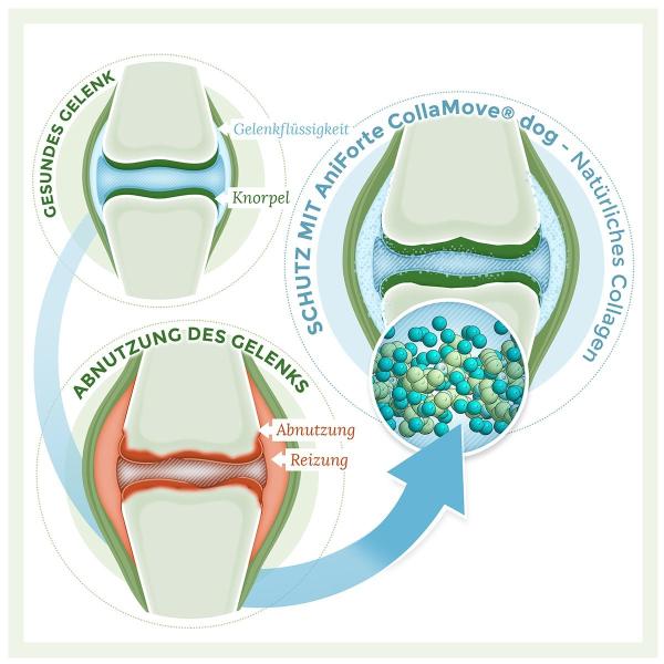 Aniforte CollaMove® dog Gelenkfunktion & Agilität
