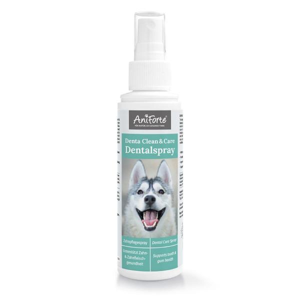 Aniforte Denta Clean & Care Dentalspray 100ml