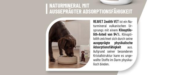 ReaVET Zeolith VET für Hunde, Katzen & Pferde – 700g – Natürliche Entgiftung & Darmreinigung – 100% Klinoptilolith Pulver