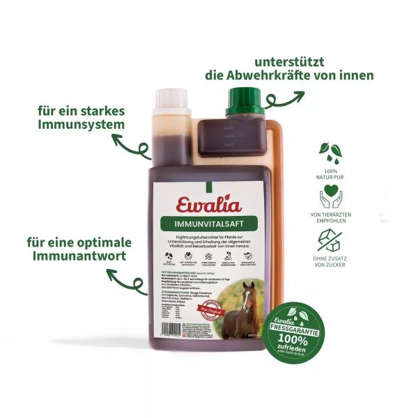 Ewalia Immunvitalsaft für Pferde 1L - Optimaler Schutz für Ihr Pferd