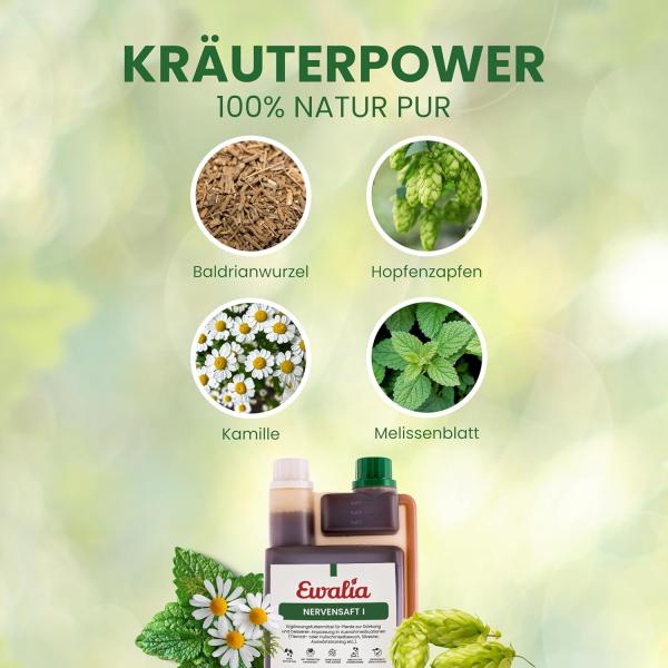 Hauptbestandteile des Ewalia Nervensafts: Baldrian, Hopfen, Melisse und Johanniskraut