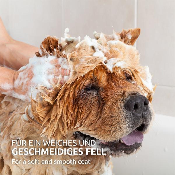 Aniforte Fellharmonie Shampoo Sensitiv 200ml für Hunde