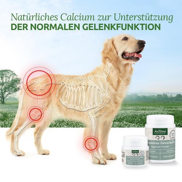 Aniforte Gemahlene Eierschalen Natürliches Calcium für starke Knochen & Zähne