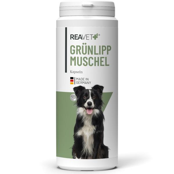 Reavet Grünlippmuschel Kapseln – Natürliche Unterstützung für Gelenke & Knorpel