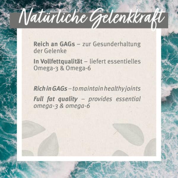 Aniforte Grünlippmuschel Kapseln - gesunde Gelenk- und Knorpelfunktion