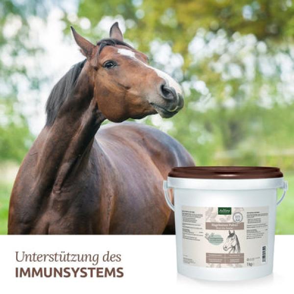 Aniforte 1 kg  Hagebuttenpulver Unterstützung Immunsystem & Gelenke