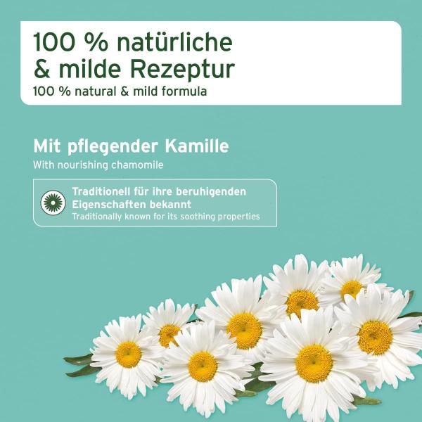 Ohrenreiniger als Unterstützung bei der Behandlung von Ohrmilben