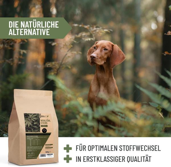 Reavet Hanf Wohlfühl Sticks – Natürliche Balance & Entspannung für Hunde 500g