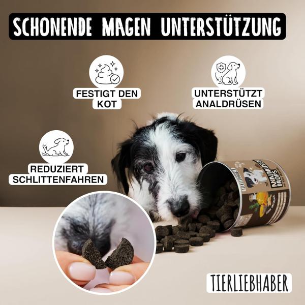 Hund zeigt das typische Schlittenfahren (Rutschen auf dem Po) als Symptom für volle Analdrüsen.