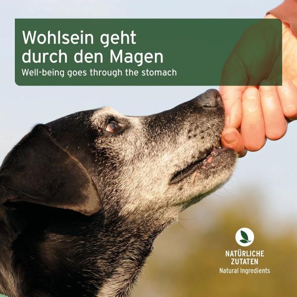 AniForte Magen & Darm-Snack für Hunde 300g