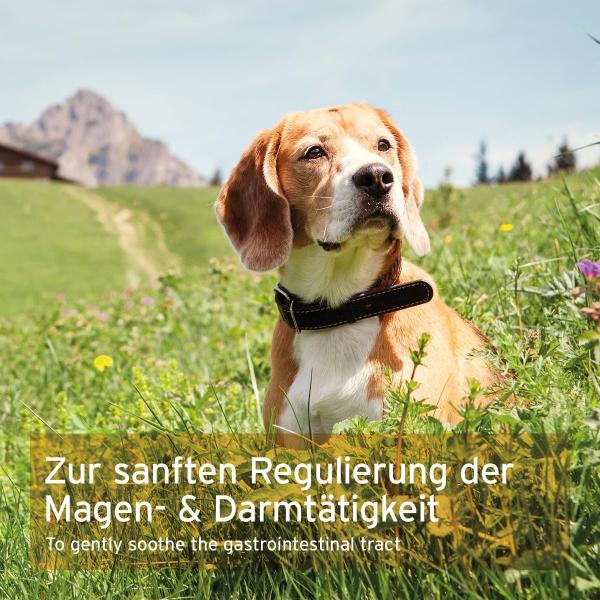 Aniforte MagenSanft®  500g für Hunde - gesunde Verdauung & Magen-Darmtätigkeit