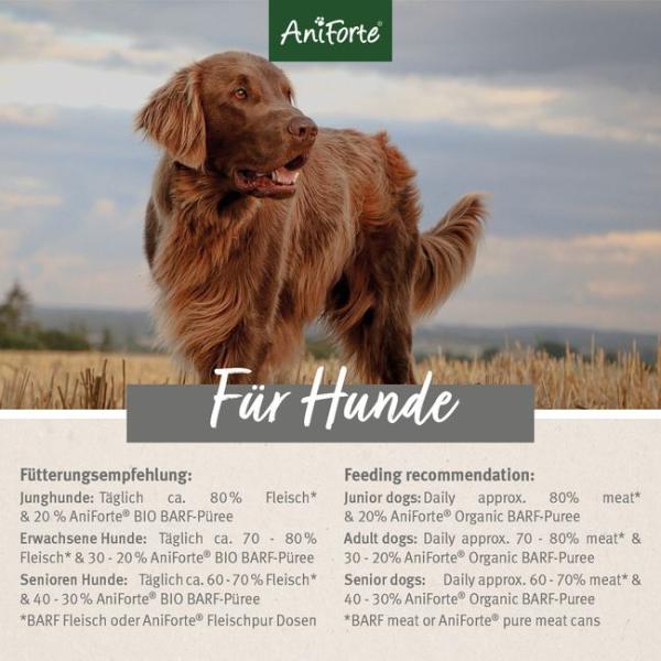 Aniforte BARF-Line Bio Gemüse & Obst Mix – "Fenchel & Mango"