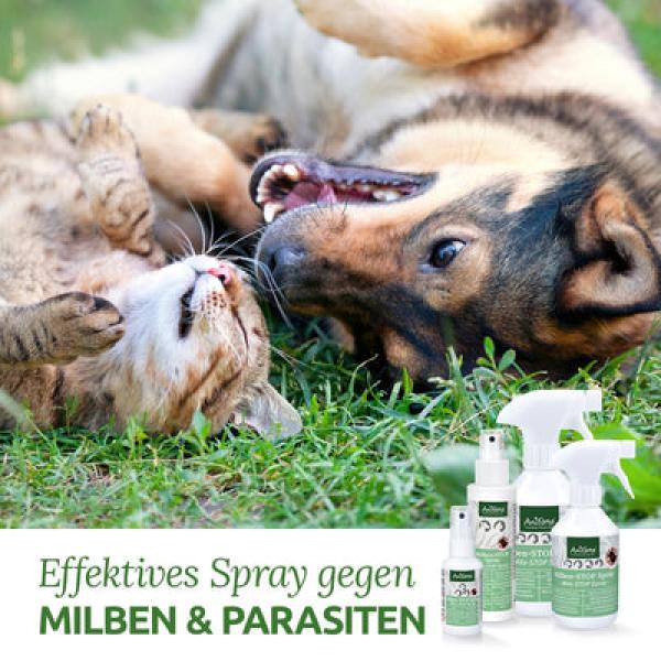 Aniforte Milben-STOP Spray: Effektiver Schutz für Hunde, Katzen, Pferde & Co.