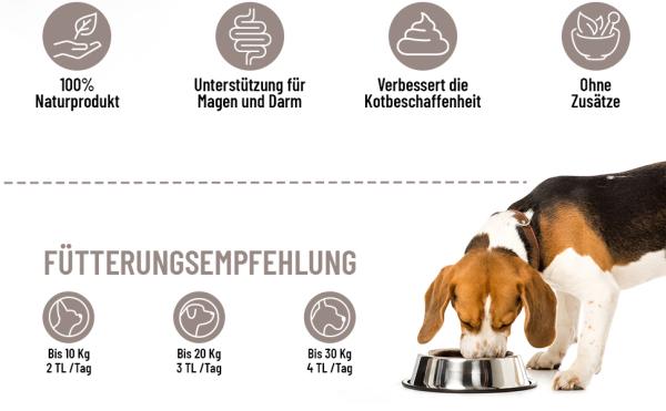 Reavet Heilmoor für Hunde - Unterstützt die Verdauung und das Immunsystem