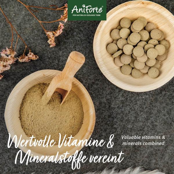 Aniforte MultiVETAL Pulver 100g - für Hunde & Katzen