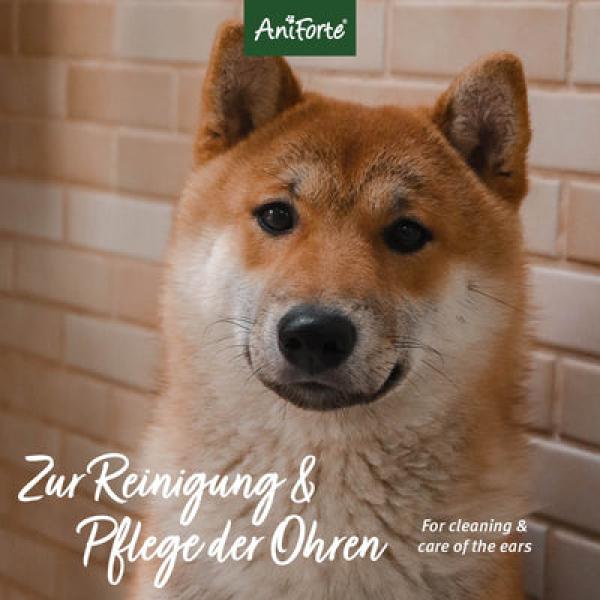 Aniforte Ohren-Reinigungspads  100 St. für Hunde und Katzen