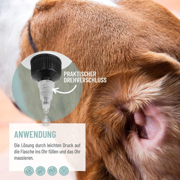 : Natürliche Wirkstoffe: Silberwasser und Kamille für gesunde Hunde- und Katzenohren