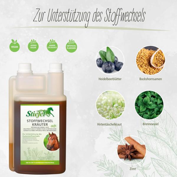 Natürliche Inhaltsstoffe wie Bockshornklee, Zimt und Heidelbeerblätter für den Glukosestoffwechsel beim Pferd