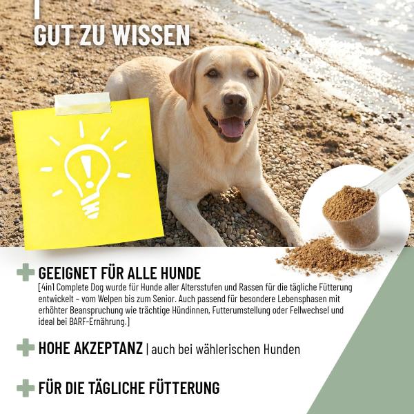 ReaVET 4in1 für Hunde – Gelenke, Verdauung, Immunsystem & Fellglanz – Natürliches All-in-One Pulver 250g