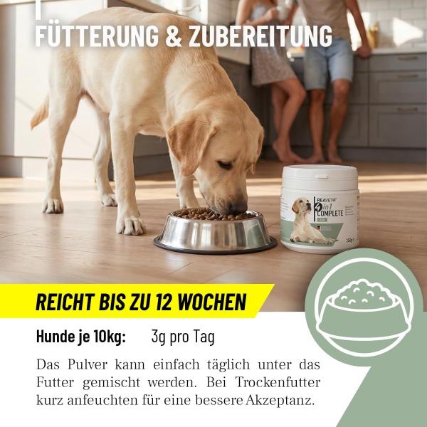 ReaVET 4in1 für Hunde – Gelenke, Verdauung, Immunsystem & Fellglanz – Natürliches All-in-One Pulver 250g