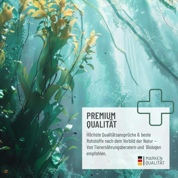 REAVET Algenöl 50 ml – Veganes Omega-3 für Haut, Fell & Stoffwechsel bei Hunden, Katzen & Pferden