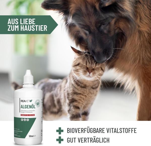 REAVET Algenöl 50 ml – Veganes Omega-3 für Haut, Fell & Stoffwechsel bei Hunden, Katzen & Pferden