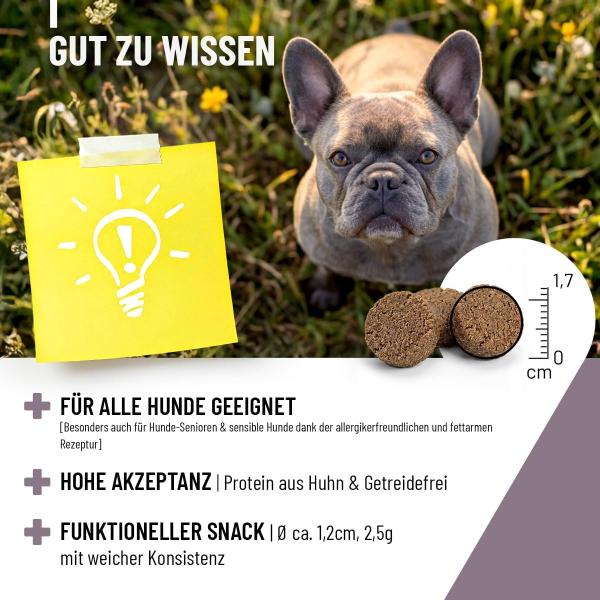 reavet-analdruesen-drops für alle HUnde geeignet