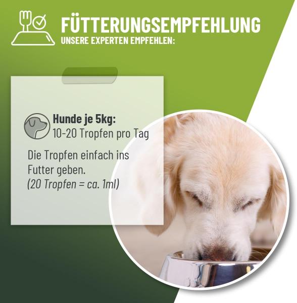 ReaVET Hustensaft Tropfen 100ml: Natürliche Hilfe für die Atemwege